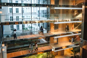 Startup Business Ideas